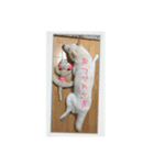 白柴こむぎ 2（個別スタンプ：9）