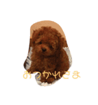 ししまる20180607（個別スタンプ：5）