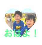 ほーたはーた（個別スタンプ：6）