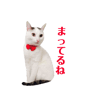 めるそら2（個別スタンプ：3）