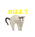 めるそら2（個別スタンプ：5）