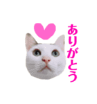 めるそら2（個別スタンプ：7）