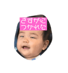 エブリィデイ小春日和（個別スタンプ：2）