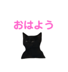 はなちゃん(1)（個別スタンプ：1）