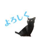 はなちゃん(1)（個別スタンプ：6）