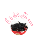 はなちゃん(1)（個別スタンプ：7）