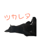 はなちゃん(1)（個別スタンプ：9）