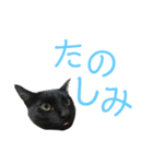 はなちゃん(1)（個別スタンプ：10）