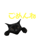 はなちゃん(1)（個別スタンプ：18）