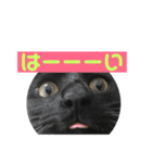 はなちゃん(1)（個別スタンプ：21）