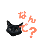 はなちゃん(1)（個別スタンプ：23）