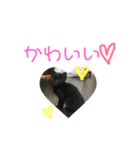 はなちゃん(1)（個別スタンプ：24）