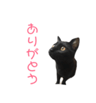 はなちゃん(1)（個別スタンプ：27）