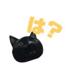 はなちゃん(1)（個別スタンプ：34）