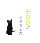 はなちゃん(1)（個別スタンプ：35）