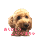 ほのぼの日常 みんなバージョン（個別スタンプ：15）