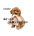 ほのぼの日常 みんなバージョン（個別スタンプ：23）