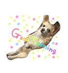 こたうめ（個別スタンプ：1）
