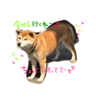 こたうめ（個別スタンプ：8）