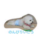 よこもふ（個別スタンプ：3）