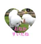 よこもふ（個別スタンプ：4）