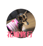 権兵衛とラック（個別スタンプ：2）