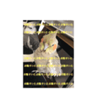 権兵衛とラック（個別スタンプ：3）