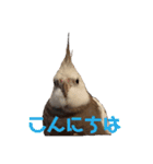 権兵衛とラック（個別スタンプ：5）