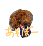 わんこくくる（個別スタンプ：2）