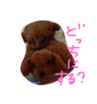わんこくくる（個別スタンプ：7）