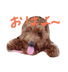 わんこくくる（個別スタンプ：8）