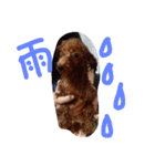わんこくくる（個別スタンプ：12）