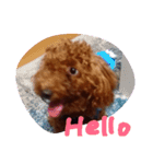わんこくくる（個別スタンプ：15）
