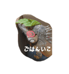 爬虫類と犬と猫（個別スタンプ：7）
