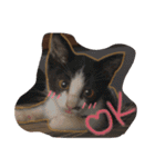 爬虫類と犬と猫（個別スタンプ：9）