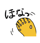 れんこんぱんだ（個別スタンプ：5）