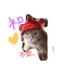 はやと、とら、ねろ（個別スタンプ：2）