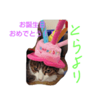 はやと、とら、ねろ（個別スタンプ：3）
