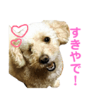 おデブきゃんでぃー（個別スタンプ：5）