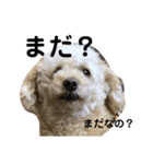 おデブきゃんでぃー（個別スタンプ：8）
