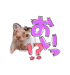 ハムハムデンくん（個別スタンプ：4）