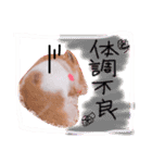 ハムハムデンくん（個別スタンプ：6）
