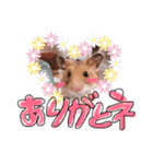 ハムハムデンくん（個別スタンプ：7）