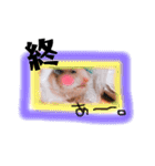 ハムハムデンくん（個別スタンプ：9）