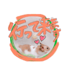 ハムハムデンくん（個別スタンプ：12）
