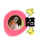 ハムハムデンくん（個別スタンプ：13）