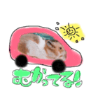 ハムハムデンくん（個別スタンプ：16）
