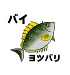 小笠原の魚たち（個別スタンプ：10）