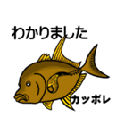 小笠原の魚たち（個別スタンプ：25）