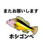 小笠原の魚たち（個別スタンプ：30）